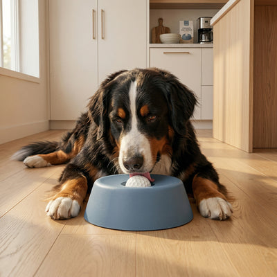 Avrenza™ Anti-clogging Bowl